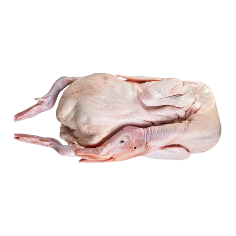 Duck Plain