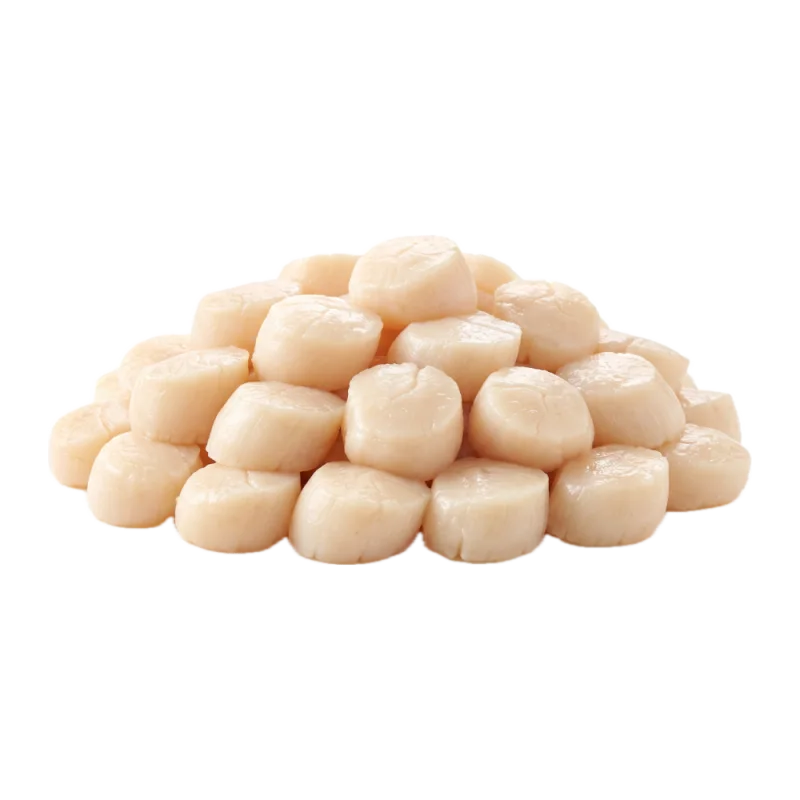 Scallop Imported