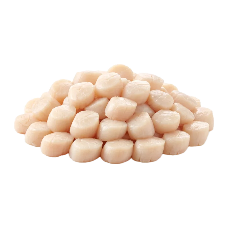 Scallop Meat Local