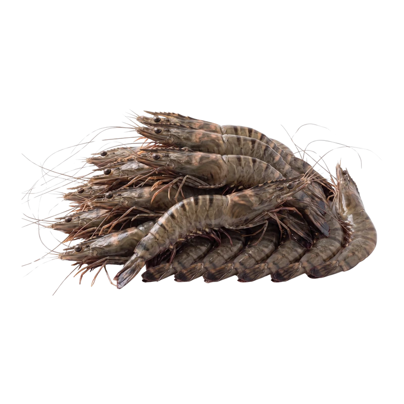 Black Tiger Shrimp 25