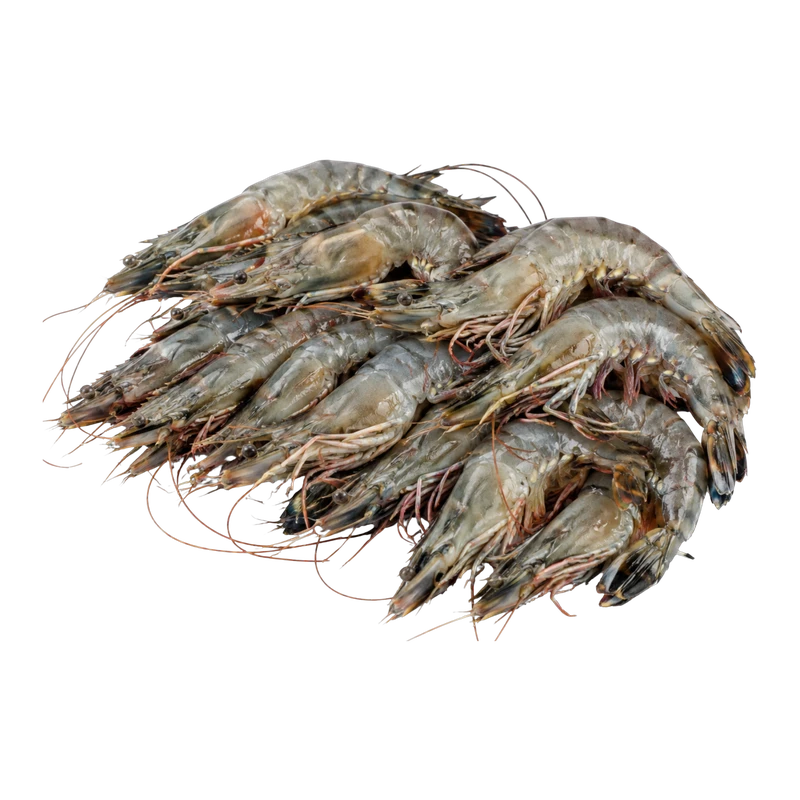 Black Tiger Shrimp 35