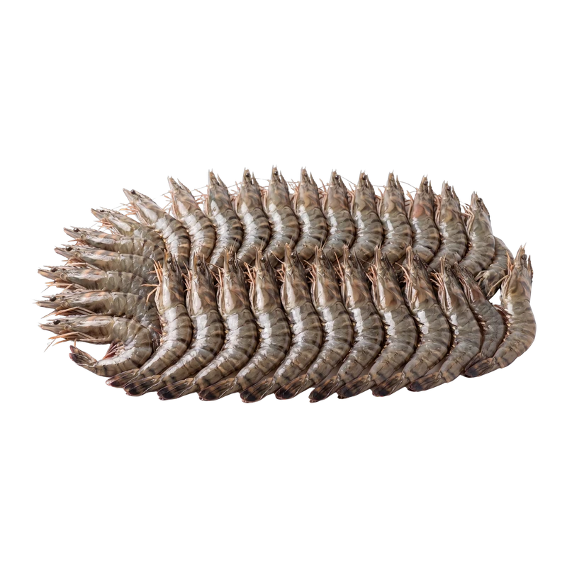 Black Tiger Shrimp 40